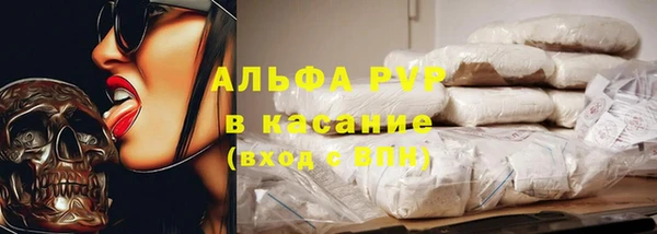 ECSTASY Белокуриха