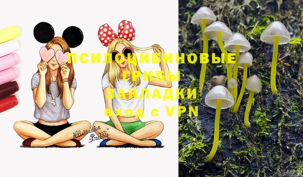 ECSTASY Белокуриха